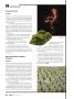Page: - 18 | High Times