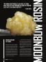 Page: - 24 | High Times