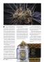 Page: - 32 | High Times