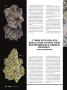 Page: - 34 | High Times