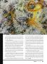 Page: - 35 | High Times