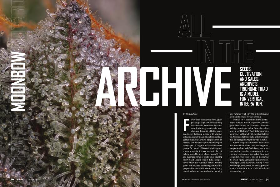 ALL IN THE ARCHIVE