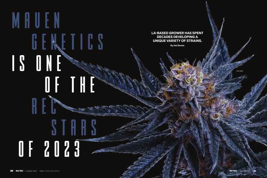 MAVEN GENETICS IS ONE OF THE REC STARS OF 2023