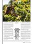 Page: - 19 | High Times