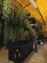Page: - 25 | High Times