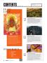 Page: - 6 | High Times