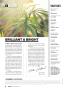 Page: - 8 | High Times