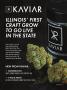 Page: - 11 | High Times