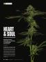 Page: - 16 | High Times