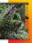Page: - 25 | High Times