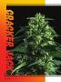 Page: - 28 | High Times