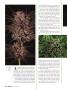 Page: - 34 | High Times