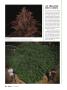 Page: - 36 | High Times