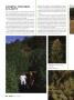 Page: - 38 | High Times