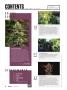 Page: - 6 | High Times