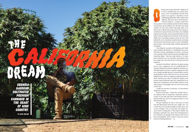 THE CALIFORNIA DREAM
