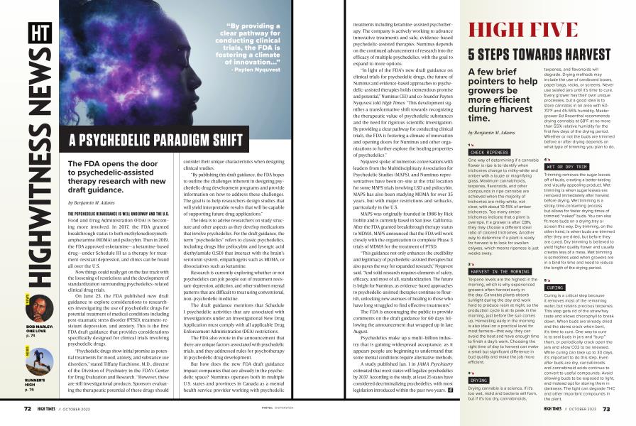 A PSYCHEDELIC PARADIGM SHIFT