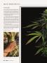 Page: - 30 | High Times