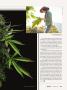 Page: - 31 | High Times
