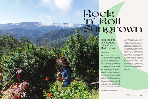 Rock 'n' Roll Sungrown