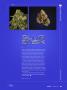 Page: - 39 | High Times