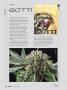 Page: - 50 | High Times