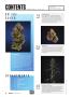 Page: - 6 | High Times