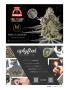 Page: - 9 | High Times