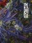 Page: - 43 | High Times