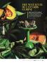 Page: - 67 | High Times
