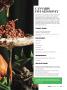 Page: - 71 | High Times