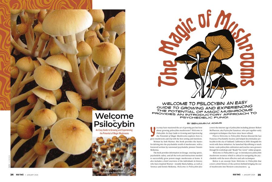 The Magic of Mushrooms