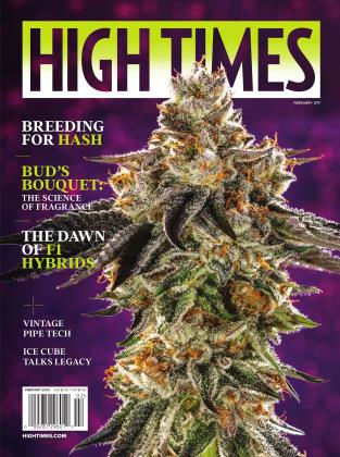 FEBRUARY 2024 | High Times