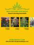 Page: - 2 | High Times