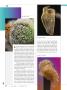 Page: - 24 | High Times