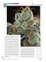 Page: - 26 | High Times