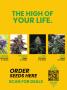 Page: - 3 | High Times