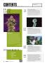 Page: - 6 | High Times