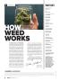 Page: - 8 | High Times