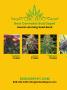 Page: - 2 | High Times