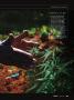 Page: - 25 | High Times