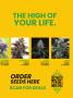 Page: - 3 | High Times