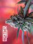 Page: - 46 | High Times