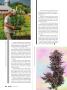 Page: - 58 | High Times