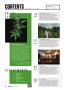 Page: - 6 | High Times