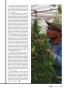 Page: - 13 | High Times