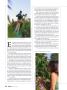 Page: - 26 | High Times
