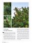 Page: - 32 | High Times