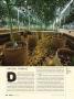 Page: - 38 | High Times