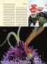 Page: - 41 | High Times
